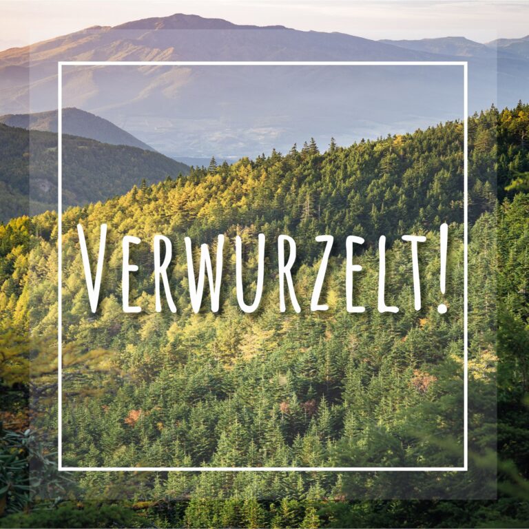 Verwurzelt! Eine Einladung von Philip Gröbe